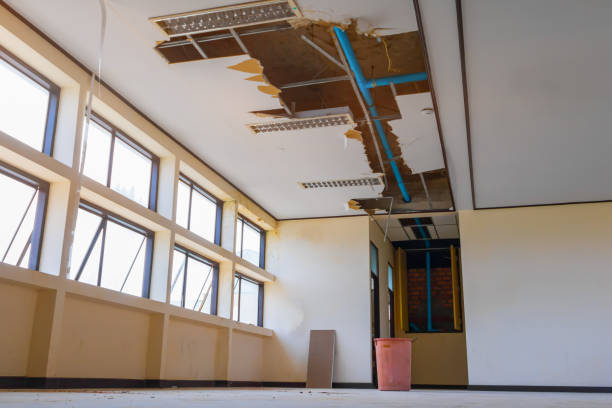 Best Water damage restoration near me  in Tillamook, OR