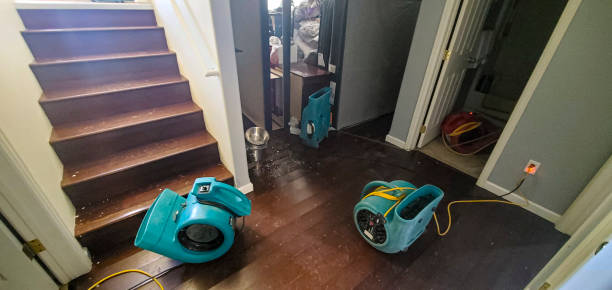 Best Water damage cleanup near me  in Tillamook, OR