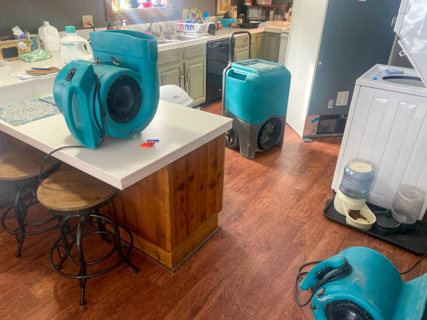 Best Professional water damage repair  in Tillamook, OR