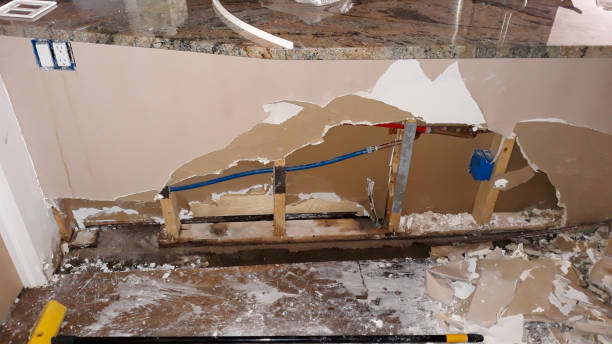 Best Flooded house restoration  in Tillamook, OR