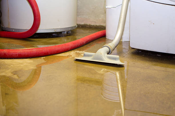 Best Mold removal after water damage  in Tillamook, OR