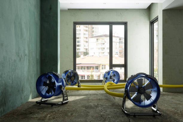 Best Water damage restoration services  in Tillamook, OR